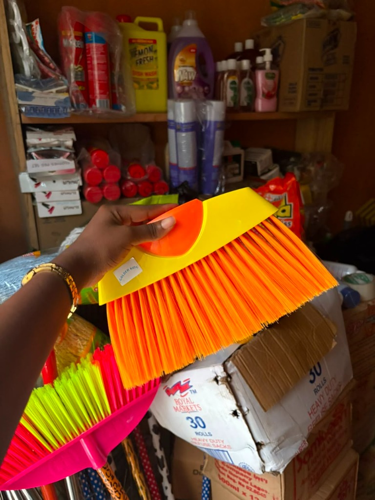 Brooms and Brushes
